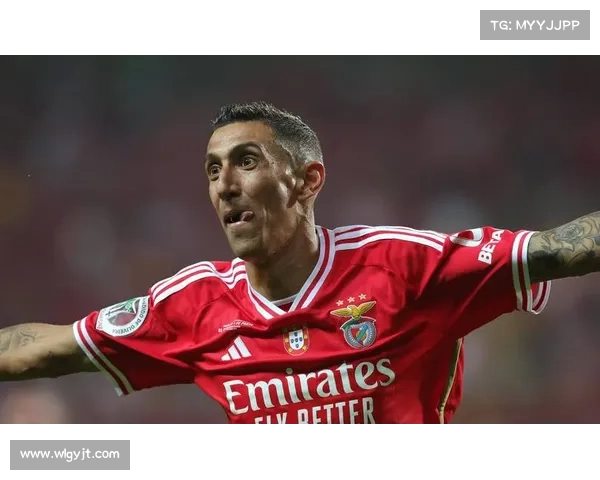 本菲卡推出足球治愈心理辅导项目 助力球员身心健康发展 本菲卡推出足球治愈心理辅导项目 助力球员身心健康发展